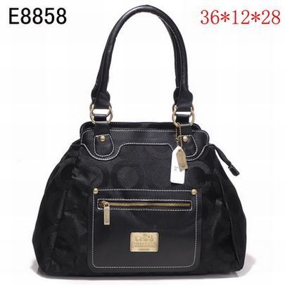Coach handbags343